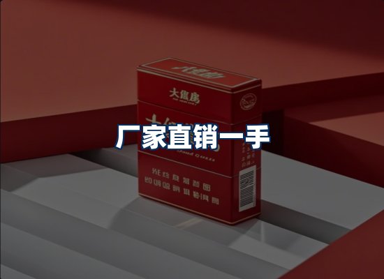 专业团队办公环境